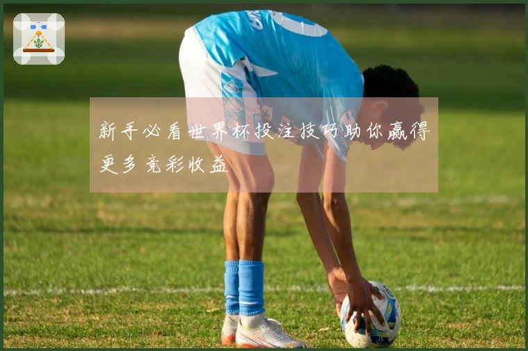 新手必看世界杯投注技巧助你赢得更多竞彩收益