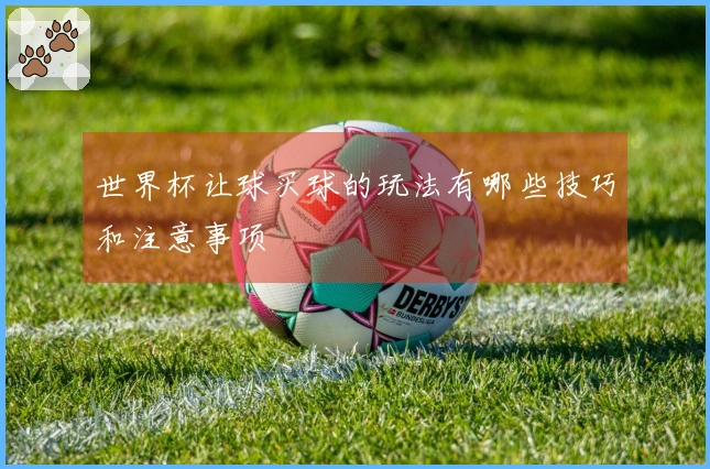世界杯让球买球的玩法有哪些技巧和注意事项