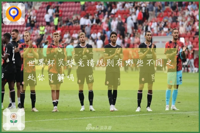 世界杯买球竞猜规则有哪些不同之处你了解吗