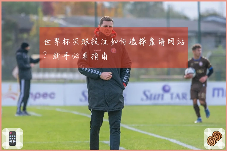 世界杯买球投注如何选择靠谱网站？新手必看指南