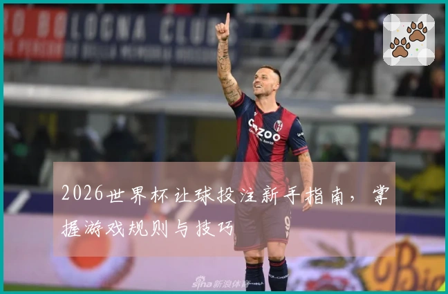 2026世界杯让球投注新手指南，掌握游戏规则与技巧