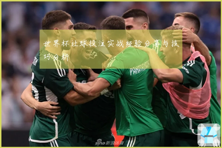 世界杯让球投注实战经验分享与技巧分析