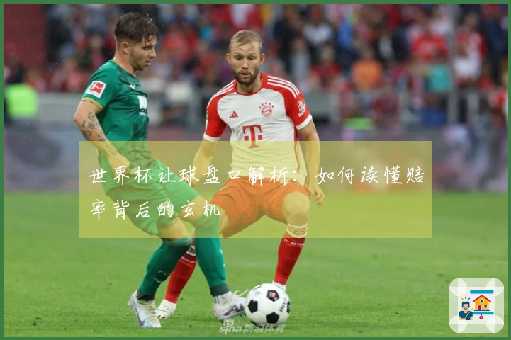 世界杯让球盘口解析：如何读懂赔率背后的玄机